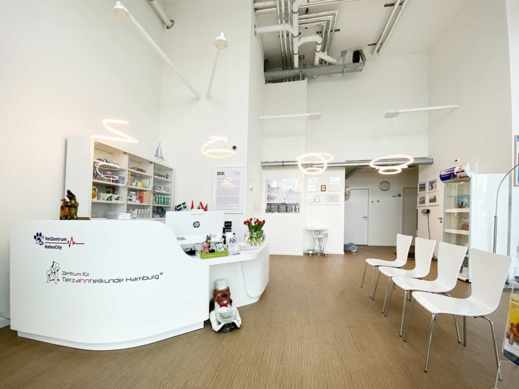 Tierarzt Notdienst Hamburg Hafencity